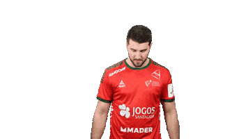 Letsgovamos Sticker by Federação de Andebol de Portugal