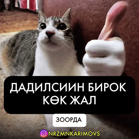 Karimovs GIF by Customize iT