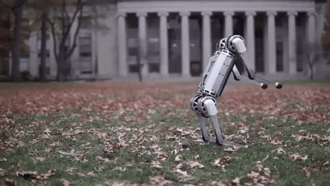 Dynamic-robotics-laboratory GIFs - Get the best GIF on GIPHY
