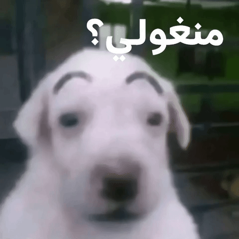 علوقيه GIF