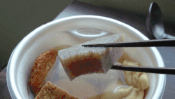 japanese food