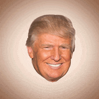 Angry White House GIF by Bubble Punk