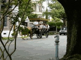 200.gif?cid=fc005b0872f2457c80237a0003db13142673929f847fe177&rid=200.gif&ct=g