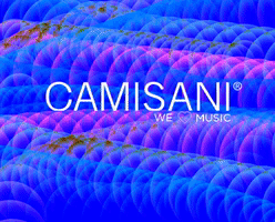 GIF by camisanidjs