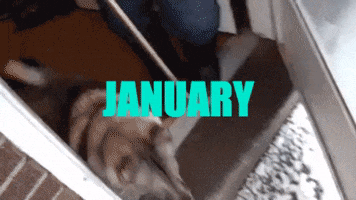 january 31 by GIF CALENDAR