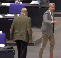 Afd GIF