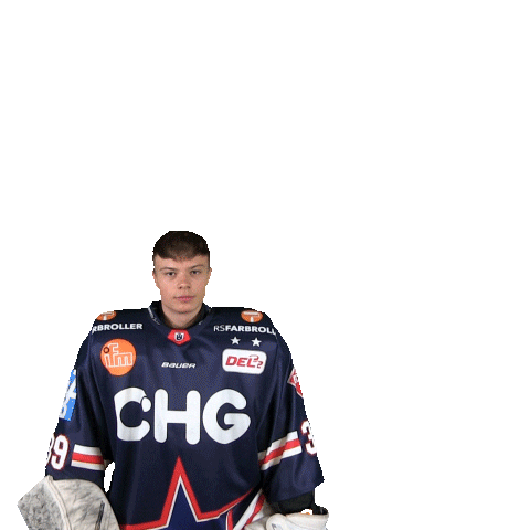 Ice Hockey Sticker by Ravensburg Towerstars