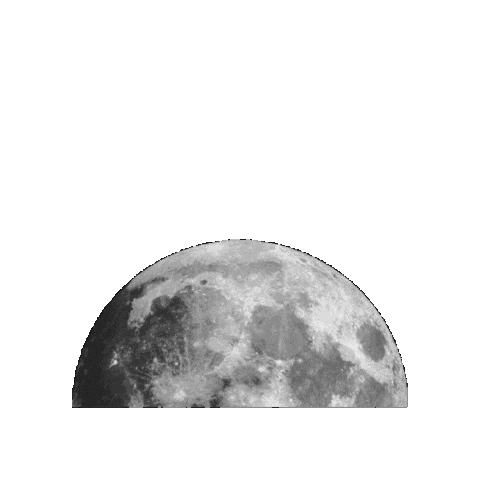 Wolf Moon Sticker by Wolfpack Digital