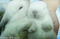 giphy.gif?cid=4d1e4f29wcbxnar8j74n259txugfc2fe09vp9avn5eqqv5sd&rid=giphy.gif