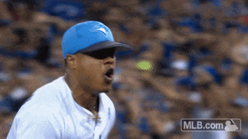 toronto blue jays marcus GIF by MLB