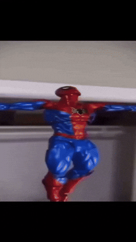 Rbkf GIF