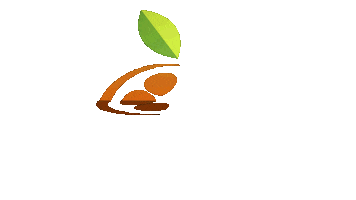 Energy Drink Energy Sticker by Kumquat Solar