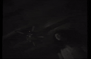 Division GIF by Jenevieve