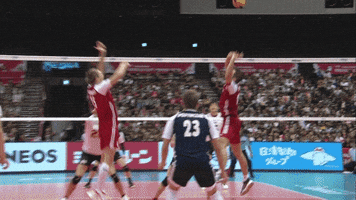 Shall Not Pass Bartosz Kurek GIF by Volleyball World