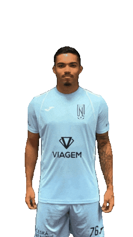 Fkviagem Sticker by Florbal Ústí