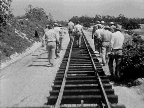 kodak presents disneyland 59