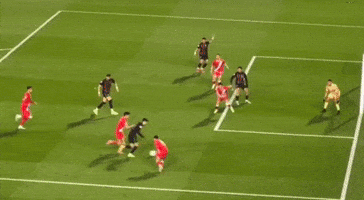 Wac Asfar GIF by Supporter Sasfar