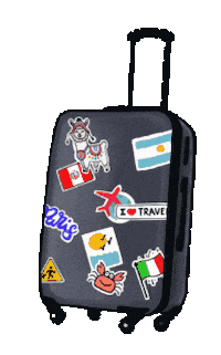 Proyecto Sticker