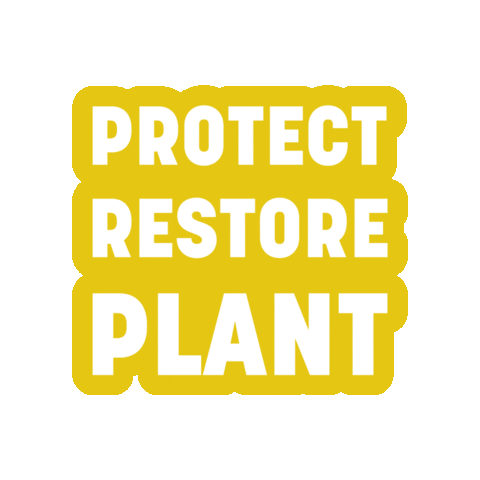 Jane Goodall Institute USA Sticker