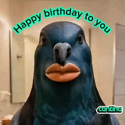 GIF by Cantina