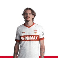 VfB-vfb-stuttgart-1893-6PzGv7UjHBKouzh6pv