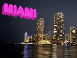 ArtZMiami GIF