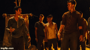 maze runner