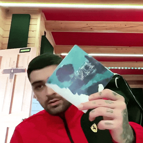 Zayn GIF