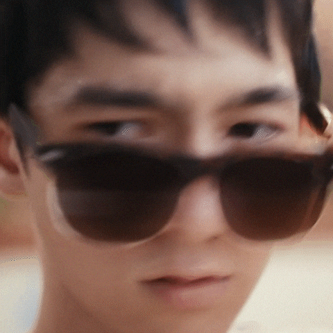 New Zealand GIF by Southern Cross NZ