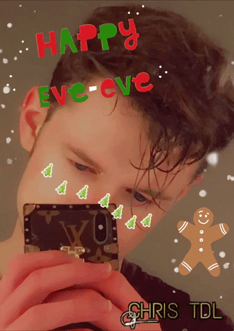 Merry Christmas Love GIF by Chris TDL