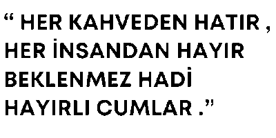 Sumktn Atarlı Sticker
