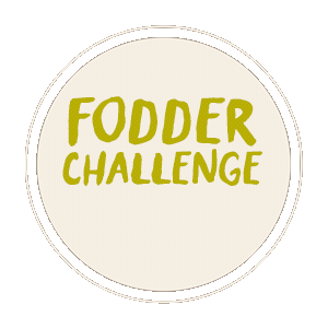 Fodder School Sticker by willaworkshops