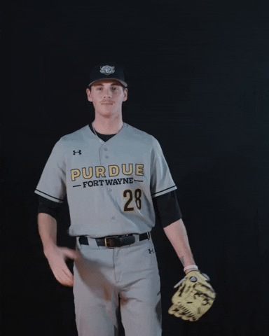 Baseball Dons GIF by Purdue Fort Wayne Athletics