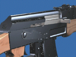 bullet