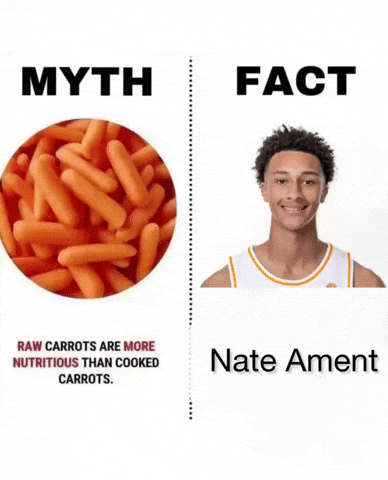 Tennessee Volunteers GIF