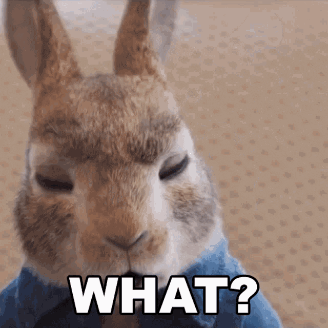 Movie gif. Peter Rabbit from Peter Rabbit 2 appears surprised. His ears wiggle and he pulls back his head in shock on loop. Text, "What?"