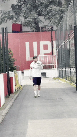 GIF by FK Crvena zvezda