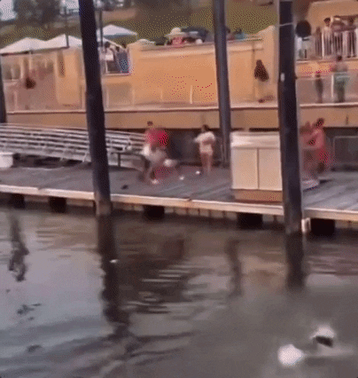 Montgomery Alabama Swimming GIF by GIPHY News