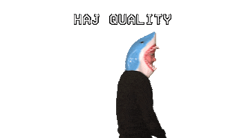 Brand New Story Sticker