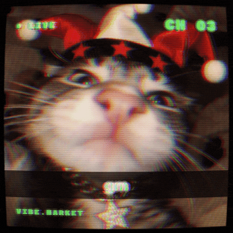 Good Morning Cat GIF by Vibe.market