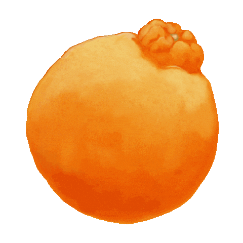Bergamot Sticker