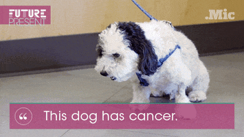 cancer treatment video GIF