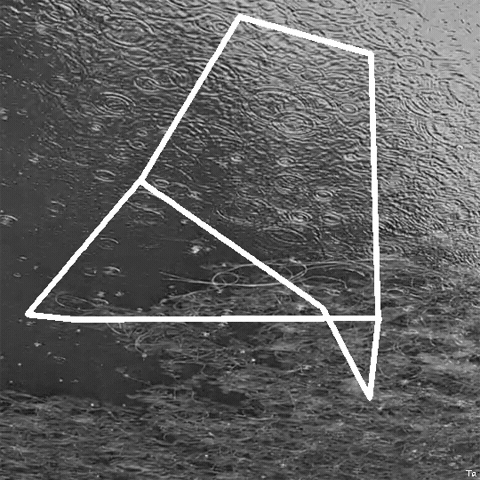 Black And White Water GIF by Trevor Anderson