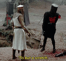 Monty Python And The Holy Grail GIFs - Get the best GIF on GIPHY