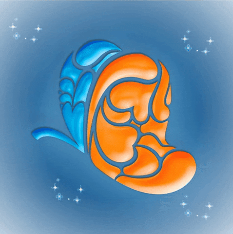 Colégio Criando Asas GIF