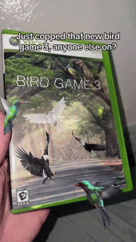 Hummingbird GIF