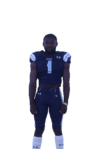 Keiser University Athletics Sticker