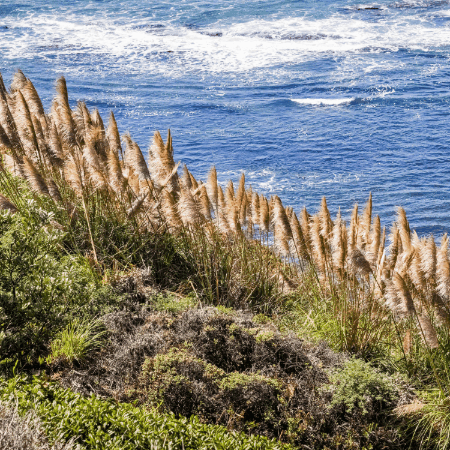 Vajira Samararatne GIF