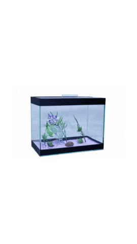 Aqualife Brasil Sticker