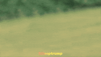 Usa Ai GIF by Deep Trump